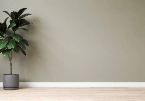 Clean, blank sage green wall with fiddle leaf fig tree in matte round dark gray ceramic pot on light brown parquet floor in sunlight with shadow for interior design decoration, home appliance, furniture product background 3D